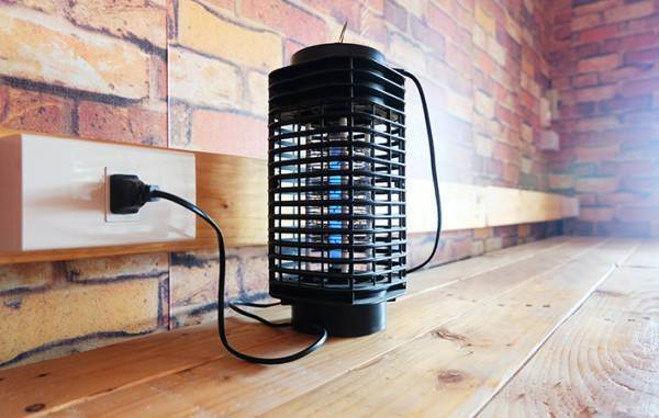 コバエ対策ってどうしてる？　Twitterで多くの人が答えた方法がこちら