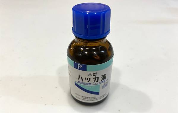 コバエ対策ってどうしてる？　Twitterで多くの人が答えた方法がこちら