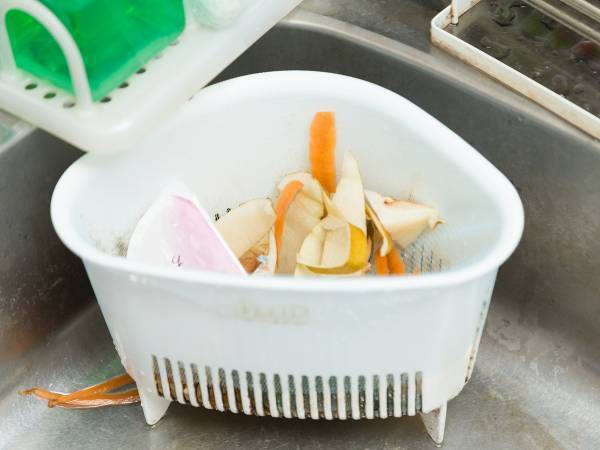 コバエ対策ってどうしてる？　Twitterで多くの人が答えた方法がこちら