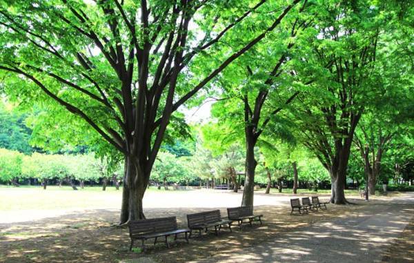 自然を感じられる場所で、静けさを味わう時間を持つこと