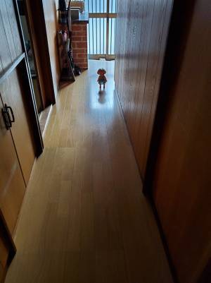 トイレから戻らない娘を心配した母親　様子を見に行こうと廊下に出ると？