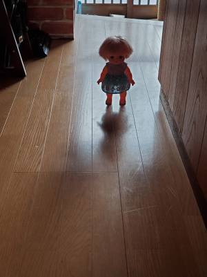 トイレから戻らない娘を心配した母親　様子を見に行こうと廊下に出ると？