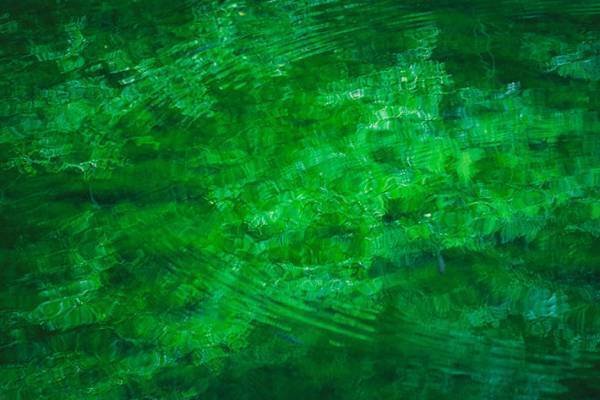 「神様がいそう！」　栃木で撮影された４枚の神秘的な写真に心奪われる