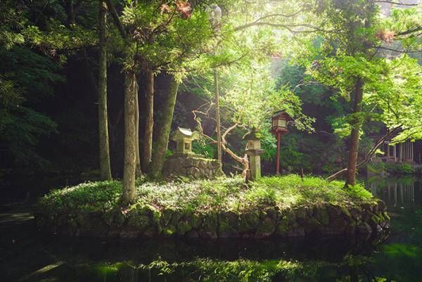 「神様がいそう！」　栃木で撮影された４枚の神秘的な写真に心奪われる