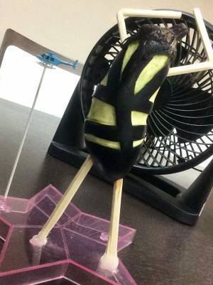 今年も登場！　個性的な精霊馬に「これは優勝」「超高速移動しそう」と大反響