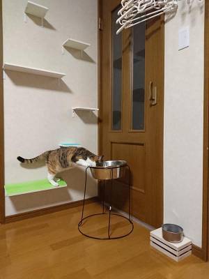 「それは、大型犬用！」　対する、犬の思わぬ行動に１８万人が吹いた