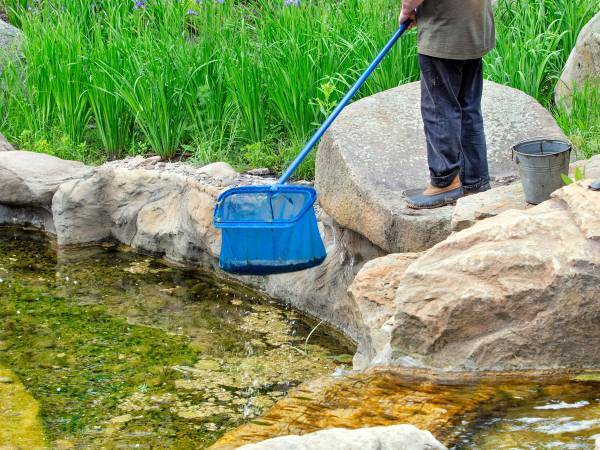 猛暑の中、生物園の職員が池で探していたものは…　「本当にやめて欲しい」