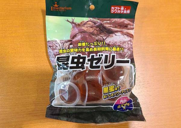 カブトムシの育て方を動画でチェック！　土や餌、水の上げ方など最適な頻度は？