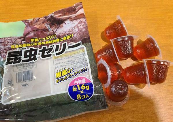 カブトムシの育て方を動画でチェック！　土や餌、水の上げ方など最適な頻度は？