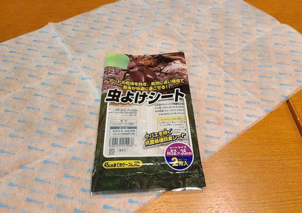 カブトムシの育て方を動画でチェック！　土や餌、水の上げ方など最適な頻度は？