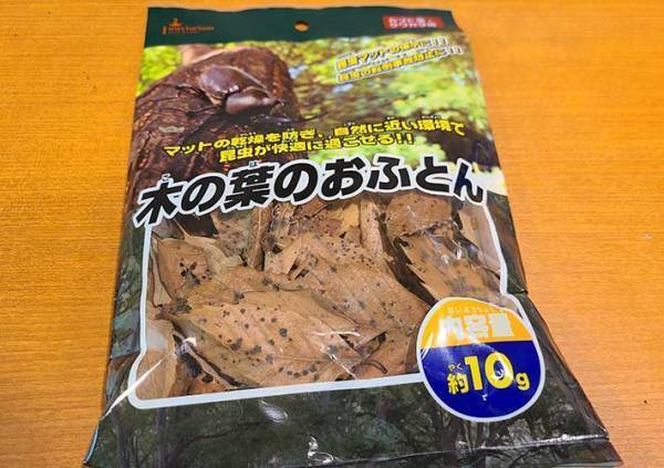 カブトムシの育て方を動画でチェック！　土や餌、水の上げ方など最適な頻度は？