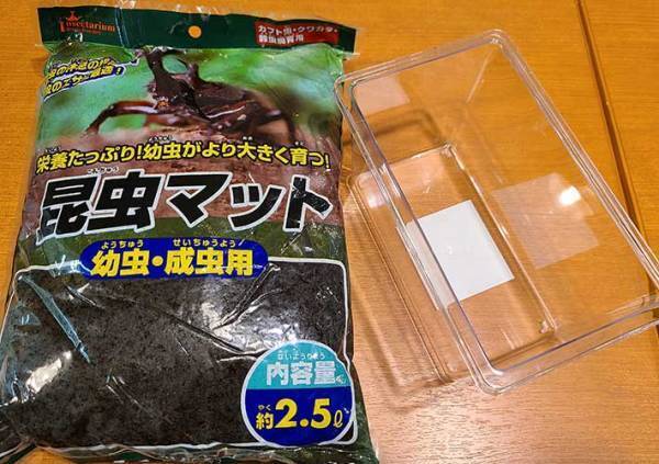 カブトムシの育て方を動画でチェック！　土や餌、水の上げ方など最適な頻度は？