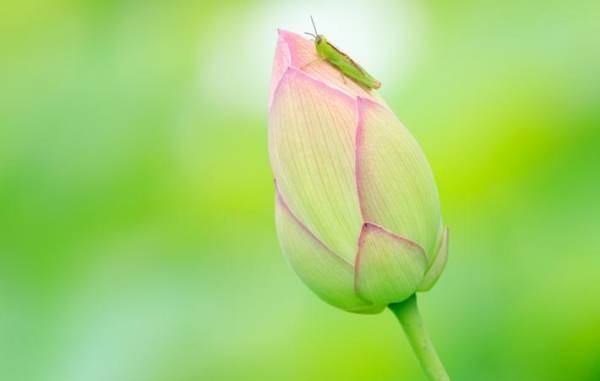 オンラインという空間にどれだけ『リアル』という価値を見いだせるか