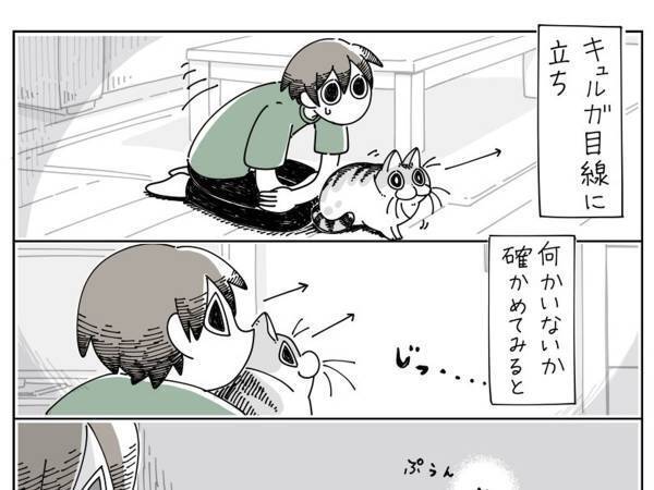 何もないところをジッと見つめる猫　飼い主が目線を合わせると？