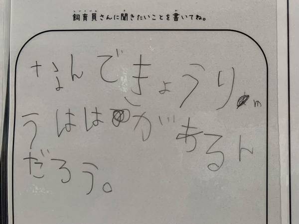 園では飼育していない恐竜について質問された飼育員　その回答とは？