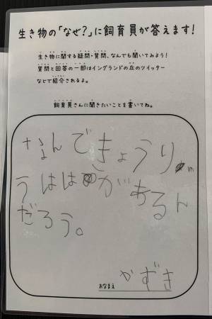 園では飼育していない恐竜について質問された飼育員　その回答とは？