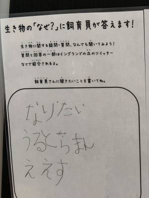 園では飼育していない恐竜について質問された飼育員　その回答とは？