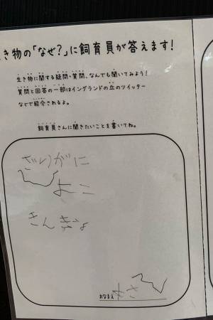 園では飼育していない恐竜について質問された飼育員　その回答とは？