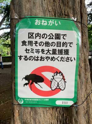 公園に設置されていた『貼り紙』　二度見必至の内容に「まさか…」「ショック」