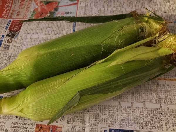 シンプル・イズ・ザ・ベスト　トウモロコシのおいしい食べ方、やってみました！