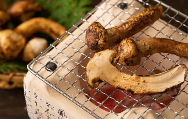 マツタケが絶滅危惧種に　日本ならではの秋の味覚として守って欲しい