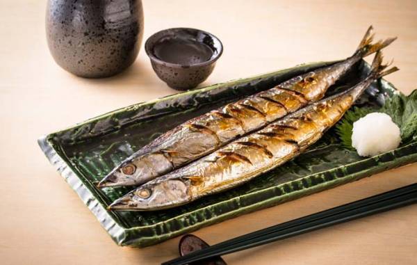 マツタケが絶滅危惧種に　日本ならではの秋の味覚として守って欲しい