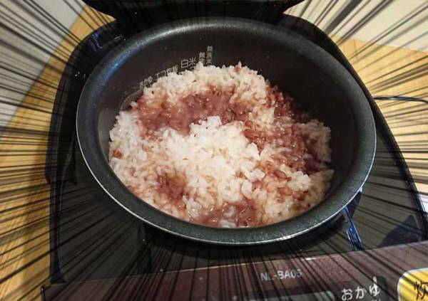 井村屋の『あずきバー』　炊飯器に入れてみたら…！？