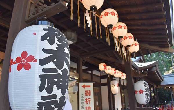 神社の御朱印を郵送でもらう時の注意点　関東で手に入るおすすめの御朱印帳は？