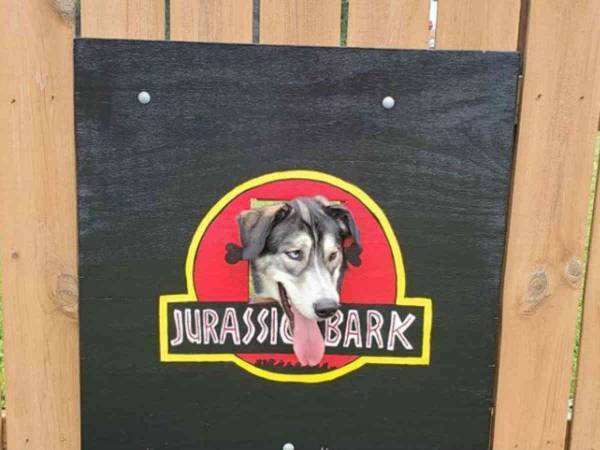 外を見たがる犬のためにフェンスに窓を作ったら　人気の自撮りスポットに