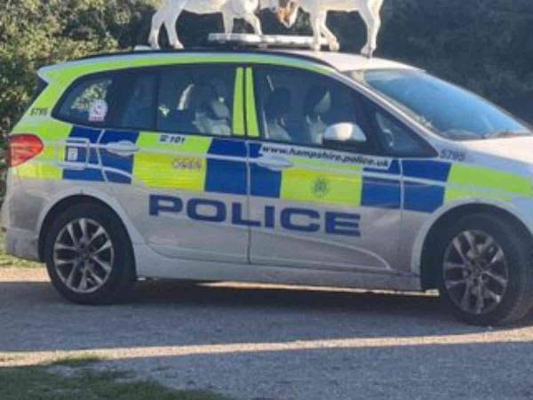 停車中のパトカーを傷つけた『容疑者』　警察の投稿に「笑いが止まらない」