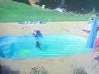 警察も称賛　プールに落ちて溺れかけた男の子を助けたのは『３歳のヒーロー』