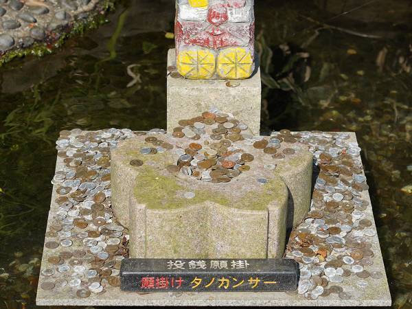 「令和２年９月は最高の金運の月です」　巫女さんがそう答える理由とは