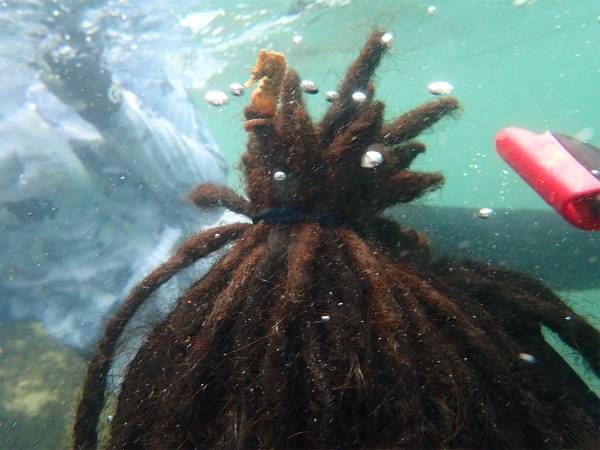 ドレッドヘアを海藻と勘違い！？　海の中で起きた『奇跡』に５万人が抱腹絶倒