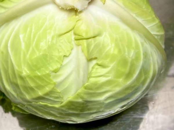 キャベツを日持ちさせる『裏ワザ』って？　料理人の投稿に、反響相次ぐ