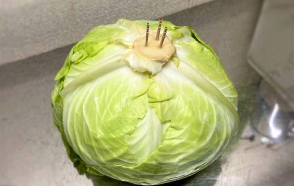 キャベツを日持ちさせる『裏ワザ』って？　料理人の投稿に、反響相次ぐ
