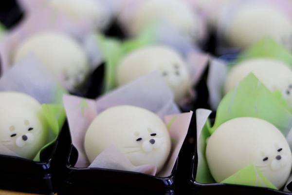 白くてモチモチ！　かわいすぎる和菓子に心奪われる