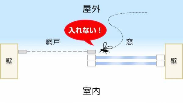 蚊の対策間違えてない？　網戸の使い方で家の中にも…　庭や屋外でも役立つ方法