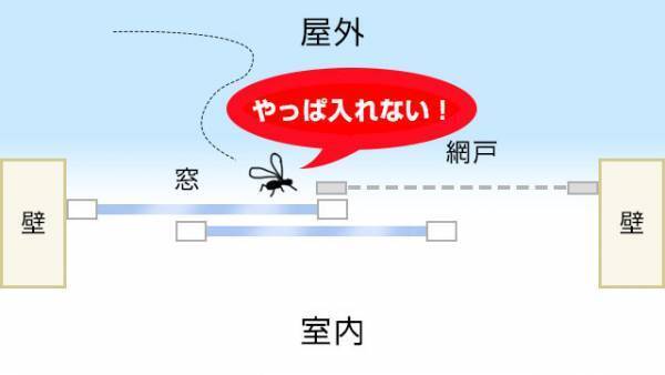 蚊の対策間違えてない？　網戸の使い方で家の中にも…　庭や屋外でも役立つ方法