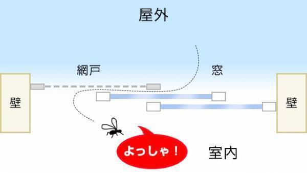 蚊の対策間違えてない？　網戸の使い方で家の中にも…　庭や屋外でも役立つ方法
