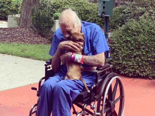 助けてくれてありがとう 脳卒中で倒れた飼い主を救ったチワワに称賛の嵐 年8月28日 ウーマンエキサイト 1 3