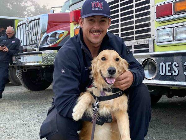 盲導犬になれなかった犬　その後、出会った『ある天職』とは？