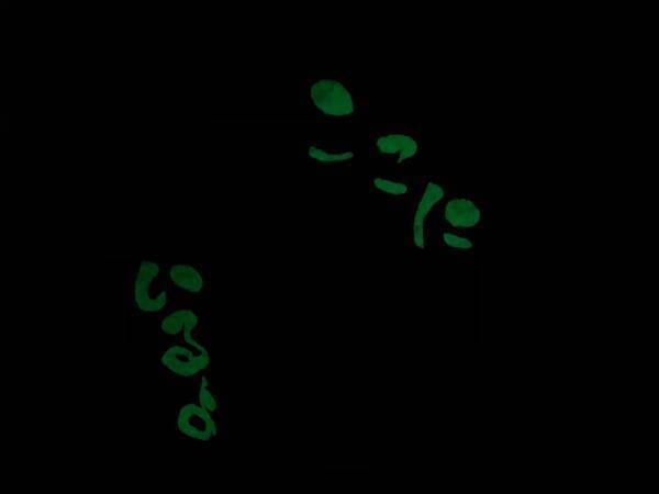 女性が部屋の電気を消すと…？　暗闇に浮かび上がった『文字』に絶叫！