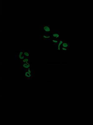 女性が部屋の電気を消すと…？　暗闇に浮かび上がった『文字』に絶叫！