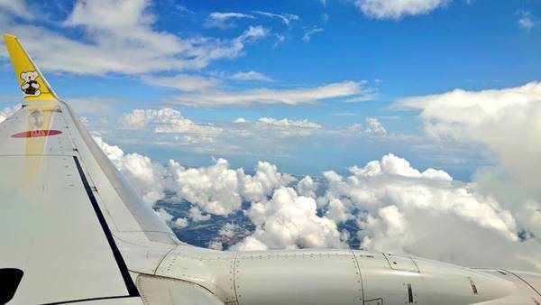 機内で眠っていた漫画家　目を覚ますとCAから心温まるサービスが届いていた！