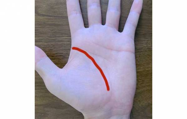 手相の見方が分からない！　基本は右手、左手どっち？　生命線は長さではなく…