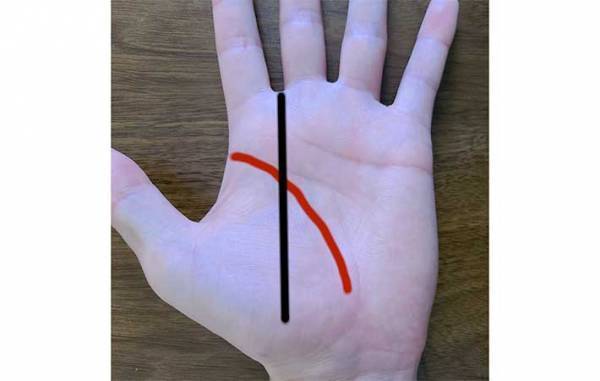 手相の見方が分からない！　基本は右手、左手どっち？　生命線は長さではなく…