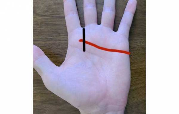 手相の見方が分からない！　基本は右手、左手どっち？　生命線は長さではなく…