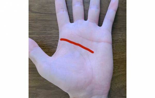 手相の見方が分からない！　基本は右手、左手どっち？　生命線は長さではなく…