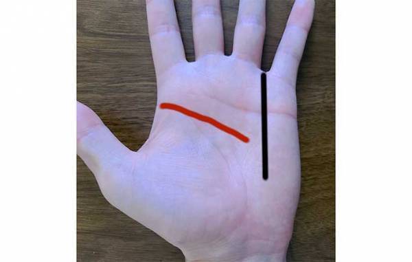 手相の見方が分からない！　基本は右手、左手どっち？　生命線は長さではなく…