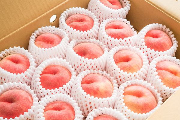 公衆電話の前で呆然とする男性　気になって声をかけると…？